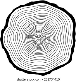 Tree Rings. Saw Cut Tree Trunk Vector. 