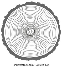 Tree rings. Saw cut tree trunk vector.