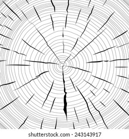 Tree rings saw cut tree trunk background. Vector illustration.