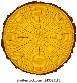 Tree rings saw cut tree trunk background. Vector illustration.