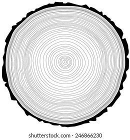 Tree rings saw cut tree trunk background. Vector illustration.