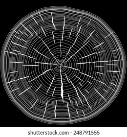 Tree rings saw cut tree trunk background. Vector illustration.