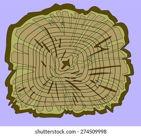 Tree rings saw cut. Tree trunk isolated