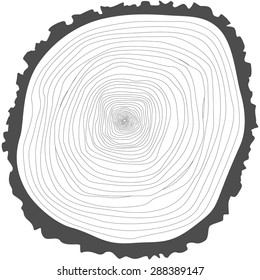 Tree rings. Saw cut tree trunk vector.