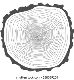 Tree Rings. Saw Cut Tree Trunk Vector.