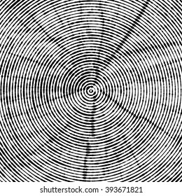 Tree rings. Saw cut tree trunk. Vector background