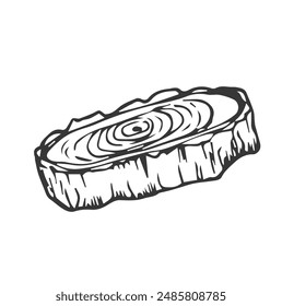 Tree Rings Set Saw Cut Trunk with Cracks and Black Lines Wooden Texture. Vector illustration