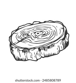 Conjunto de anillos de árbol tronco de corte de sierra con grietas y líneas negras textura de madera. Ilustración vectorial