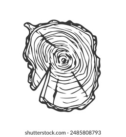 Tree Rings Set Saw Cut Trunk with Cracks and Black Lines Wooden Texture. Vector illustration