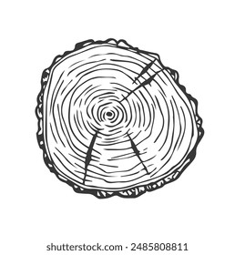 Tree Rings Set Saw Cut Trunk with Cracks and Black Lines Wooden Texture. Vector illustration