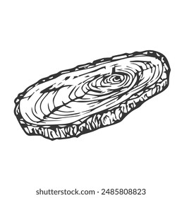 Conjunto de anillos de árbol tronco de corte de sierra con grietas y líneas negras textura de madera. Ilustración vectorial