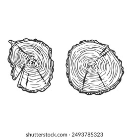 Tree Rings Set Saw Cut Trunk with Cracks and Black Lines Wooden Texture. Vector illustration. Wood circle line sketch