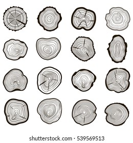 Tree Rings Set Saw Cut Trunk with Cracks and Black Lines Wooden Texture. Vector illustration