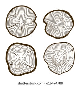 Tree Rings Set Saw Cut Trunk Web Design Style Wooden Nature Texture. Vector illustration