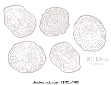 Tree rings texture collection. Wooden circle. Abstract art lines. Tree trunk cross-section. Vector graphics illustration object.