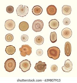 Tree Rings Vector Color Graphic Set