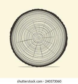 Vector Tree Rings Slice Crack Annual Stock Vector (Royalty Free) 707440966