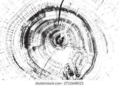 Tree Rings Vector Illustration with Cracks and Imperfections