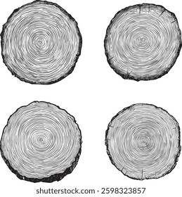Tree Rings Vector Illustration, Isolated on White Background.