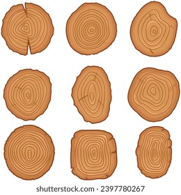 Tree rings vector illustration. Tree log clipart