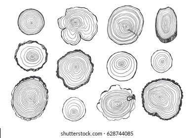 Tree rings vector line graphic set