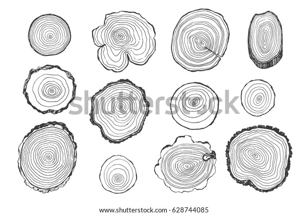 Tree rings vector line\
graphic set
