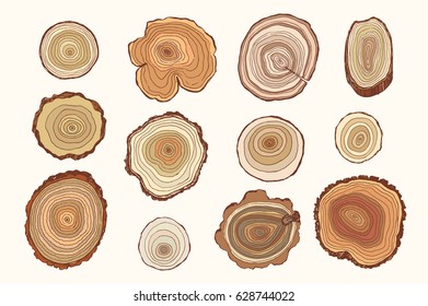 Tree rings vector set