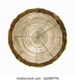 Tree Rings. Watercolor Illustration. Hand Drawn Abstract Background. Painted Wood Texture. Vector Image. 