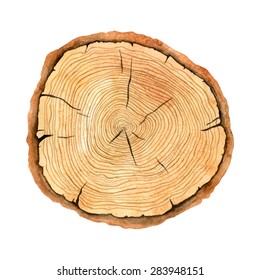 Tree rings. Watercolor illustration. Vector hand drawn abstract background. Painted wood texture. Natural texture.