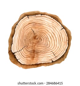 Tree Rings. Watercolor Illustration. Vector Hand Drawn Abstract Background. Painted Wood. Natural Texture. Artistic Design.