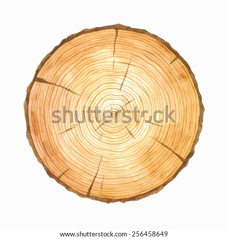 Tree rings. Watercolour illustration. Vector hand drawn abstract background. Painted wood texture.