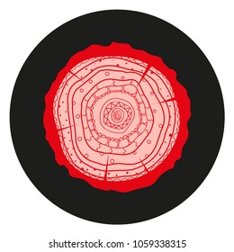 Tree rings wood abstract web icon 