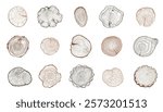 Tree rings. Wooden log trunk slices with annual growth circles, rough timber stump sections with organic texture flat style. Vector isolated set.