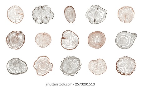 Tree rings. Wooden log trunk slices with annual growth circles, rough timber stump sections with organic texture flat style. Vector isolated set.