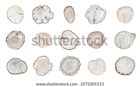 Tree rings. Wooden log trunk slices with annual growth circles, rough timber stump sections with organic texture flat style. Vector isolated set.