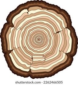 Tree rings. Wooden saw cut color icon