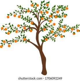 tree with ripe orange persimmon isolated on white