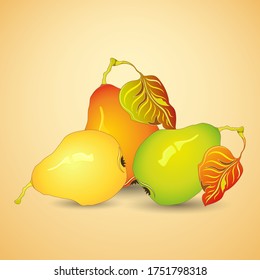 tree ripe pears with leaves on light coloured background. Vector illustration.