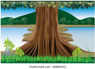 the tree with river and mountain background