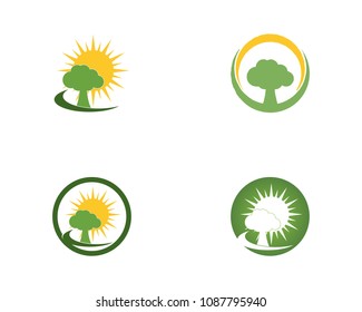 tree road logo vector 