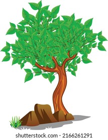 Baum und Felsgestein, Vektorkunst und Illustration