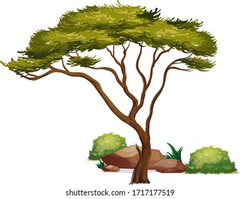 tree with rocks and grass vector design