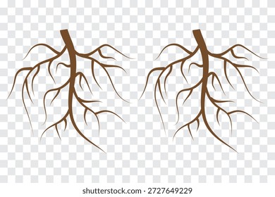 Conjunto castanho da raiz da árvore, ilustração do sistema da raiz natural, projeto do padrão da ramificação orgânica, coleção do vetor botânico, raízes marrons isoladas no fundo branco. Ilustração vetorial. 