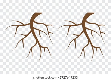 Conjunto castanho da raiz da árvore, ilustração do sistema da raiz natural, projeto do padrão da ramificação orgânica, coleção do vetor botânico, raízes marrons isoladas no fundo branco. Ilustração vetorial. 