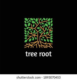 Tree Root eco logo line art. design vector nature graphic minimalist logo template