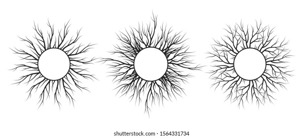 Tree root frame set. Vector isolated timber background. Natural wreath.