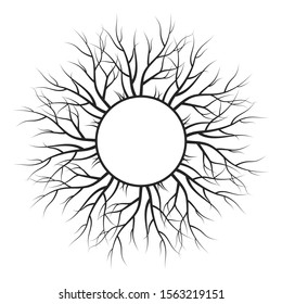 Tree root frame. Vector isolated timber background.