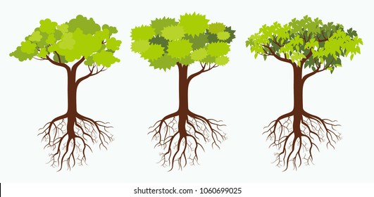 tree and root icon