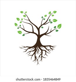 tree with root icon logo vector flat concept design