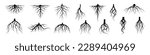 Tree root icon set. Tree root silhouette set.